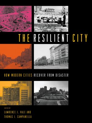 The Resilient City - ebook